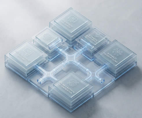 AI Readiness & Automation Consulting_mauryacc