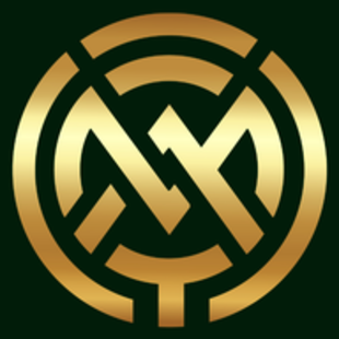 ms-icon-310x310-1