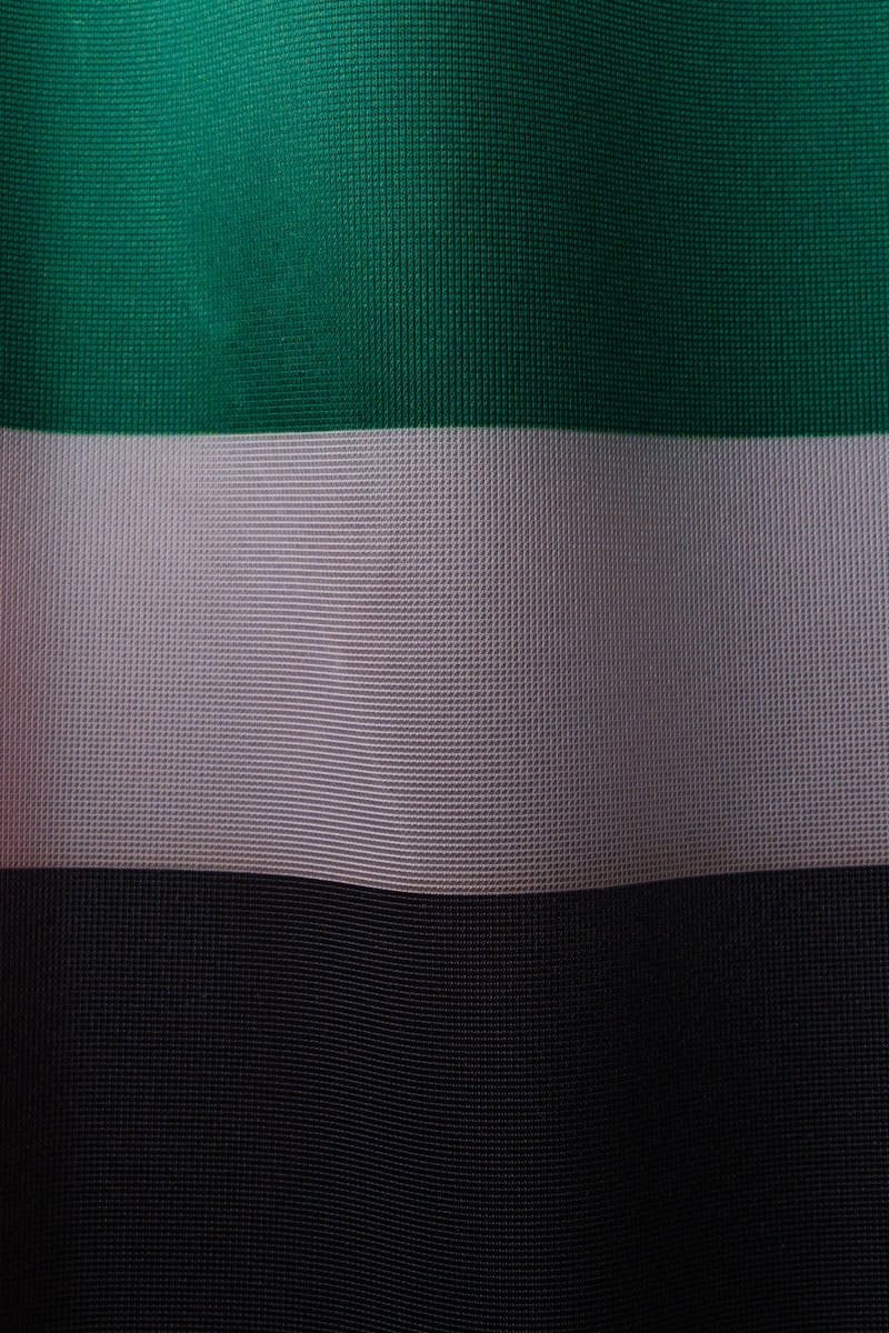 Detailed close-up of the United Arab Emirates flag with vibrant colors and fabric texture.